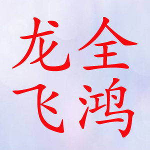 龙全飞鸿电子
