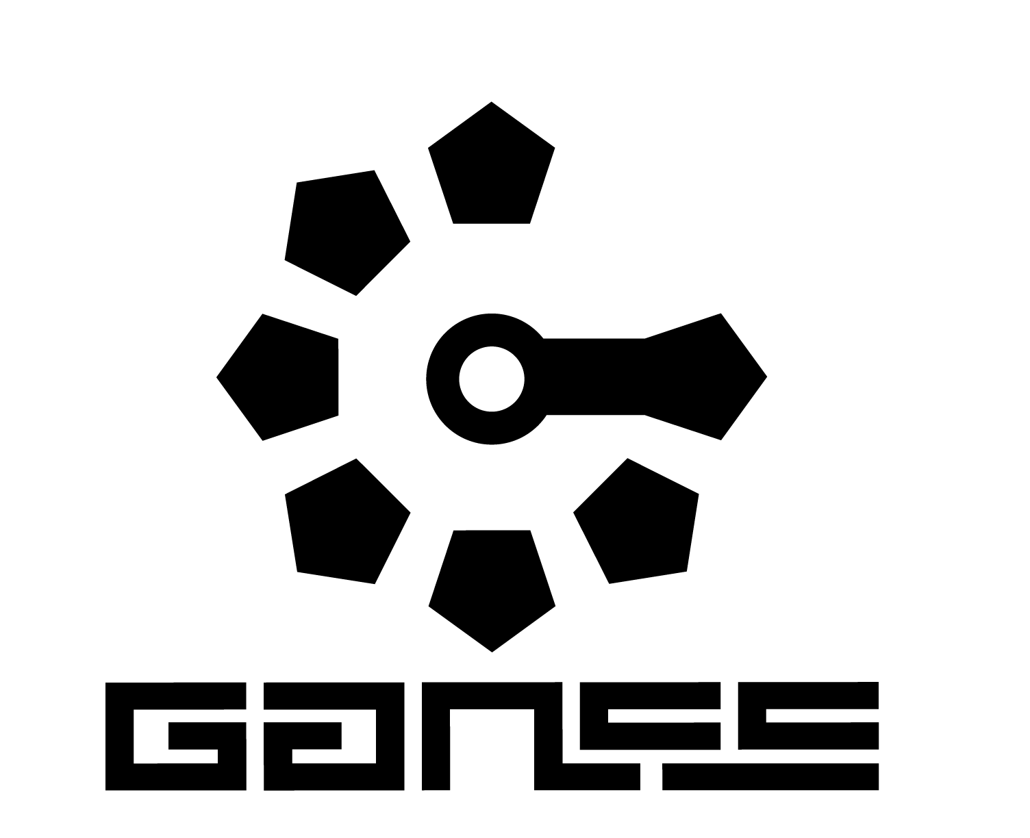 ganss数码旗舰店