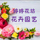 婷婷花坊花卉