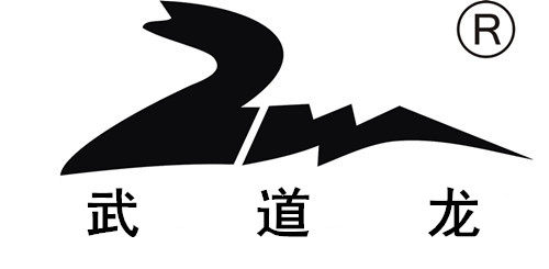 武道龙