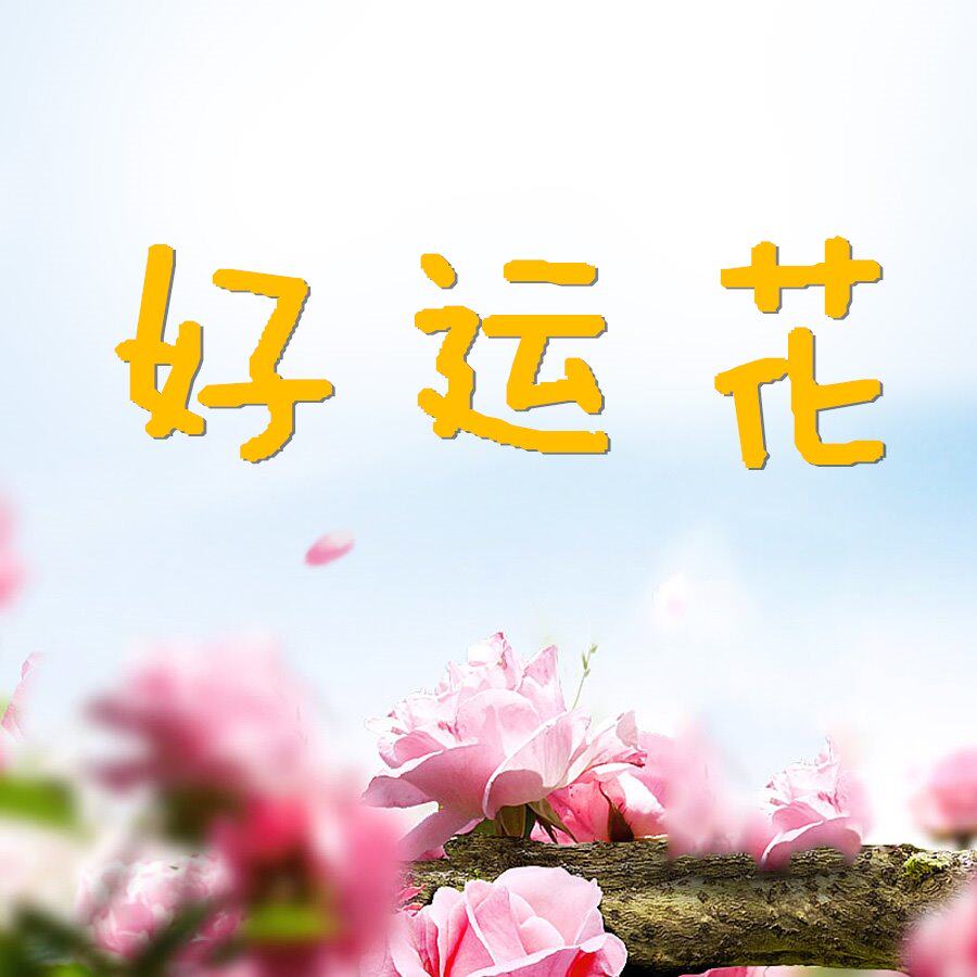 好运花女裤
