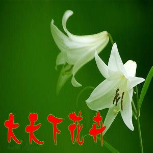 双子花卉销售中心