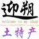 迎朔西藏土特产