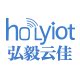 Holyiot