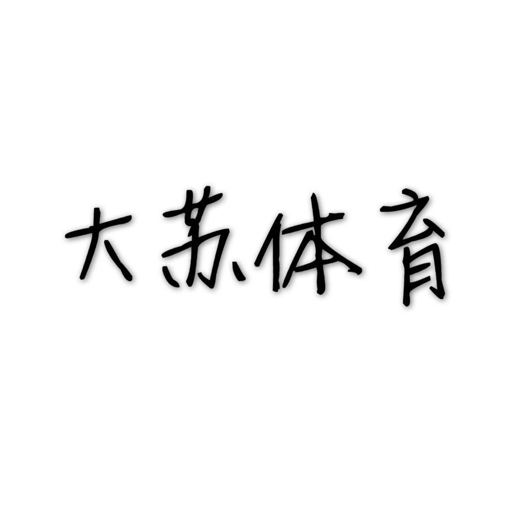大苏体育 只售正品