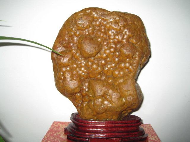 江西观赏石黄蜡石