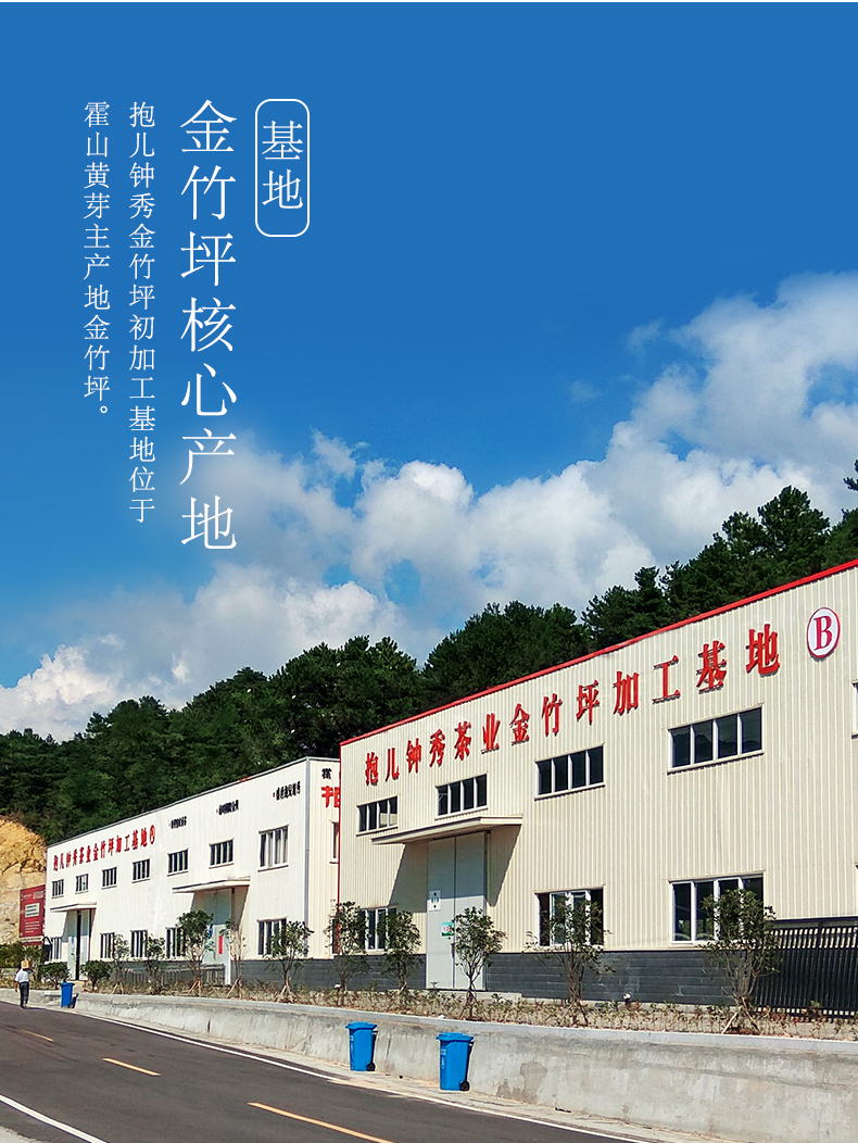 国家地理标志产品 抱儿钟秀  一级霍山黄芽 250g 图9