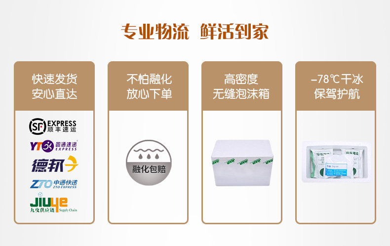 五丰冷食 虫草花+墨鱼+竹荪鸡 手工水饺 258g*9袋 图12
