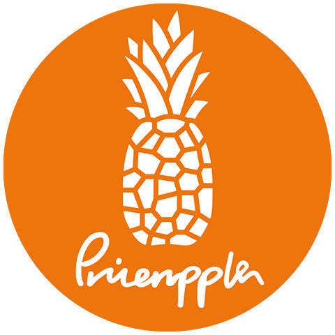pineapple童鞋旗舰店