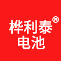 桦利泰电池