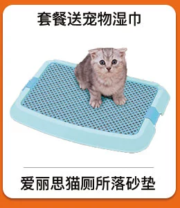 Vàng nhật bản mèo đóng hộp 170 gam * 12 lon mèo ướt thực phẩm mèo đồ ăn nhẹ mèo đồ ăn nhẹ thực phẩm chủ yếu thức ăn cho mèo đối tác đầy đủ hộp