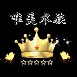 唯美水族