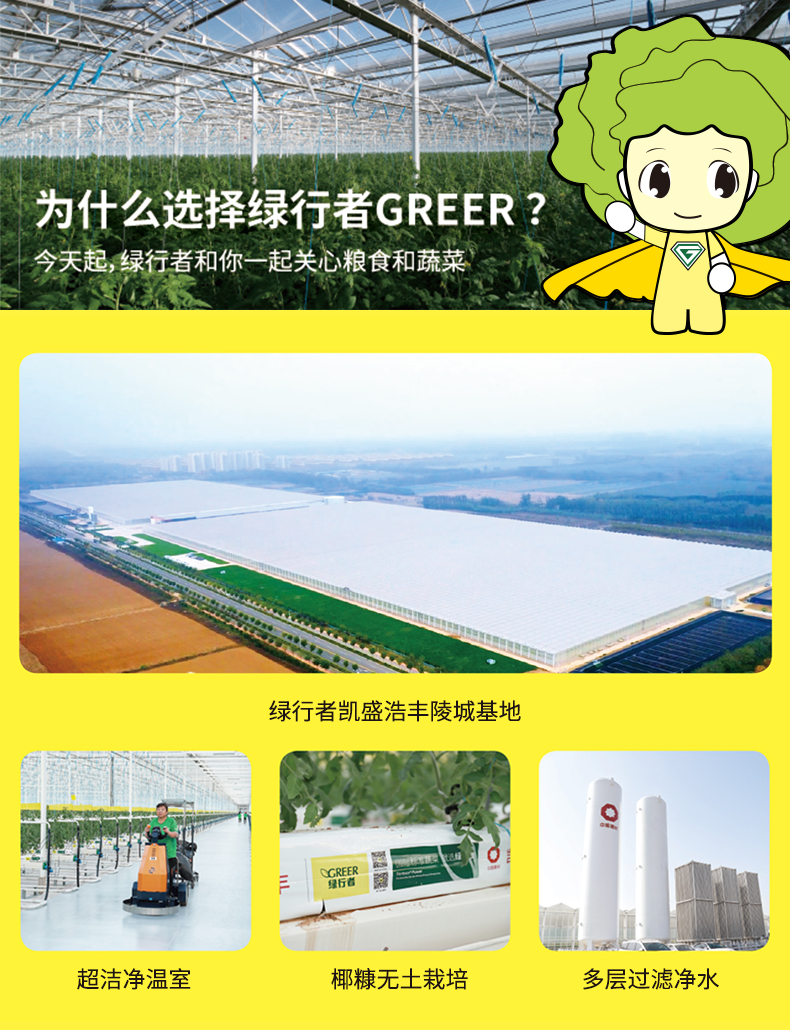 奥运会供应商 绿行者 桃太郎 沙瓤粉番茄 西红柿 5斤 无农药不催熟 图15