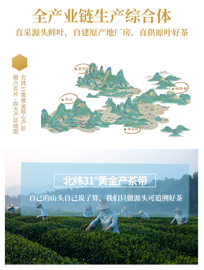 中华老字号 徽六 六安瓜片新茶 50g 图2