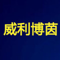 威利博茵