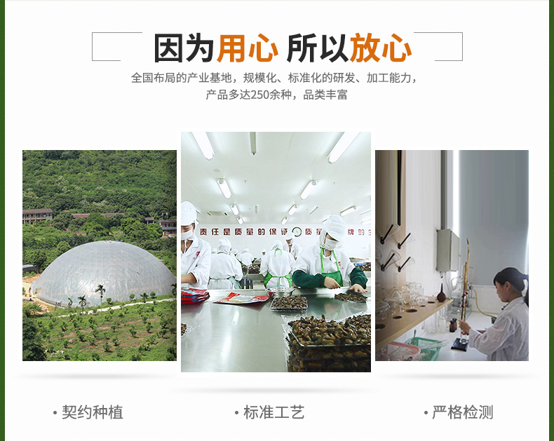 品牌介绍_03.jpg