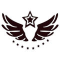 星雕旗舰店