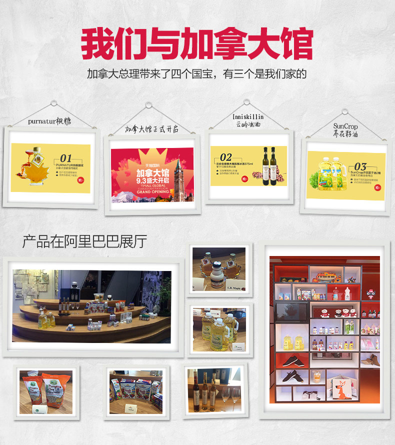 加拿大進(jìn)口PURNATUR楓葉楓樹糖楓糖漿