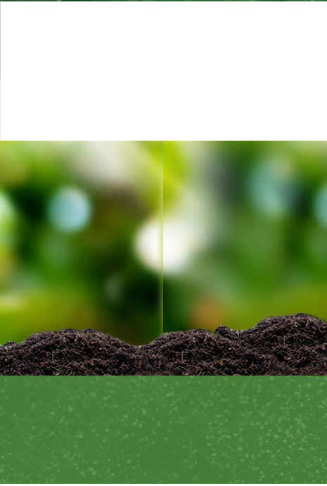 澳至尊官方海外旗舰店