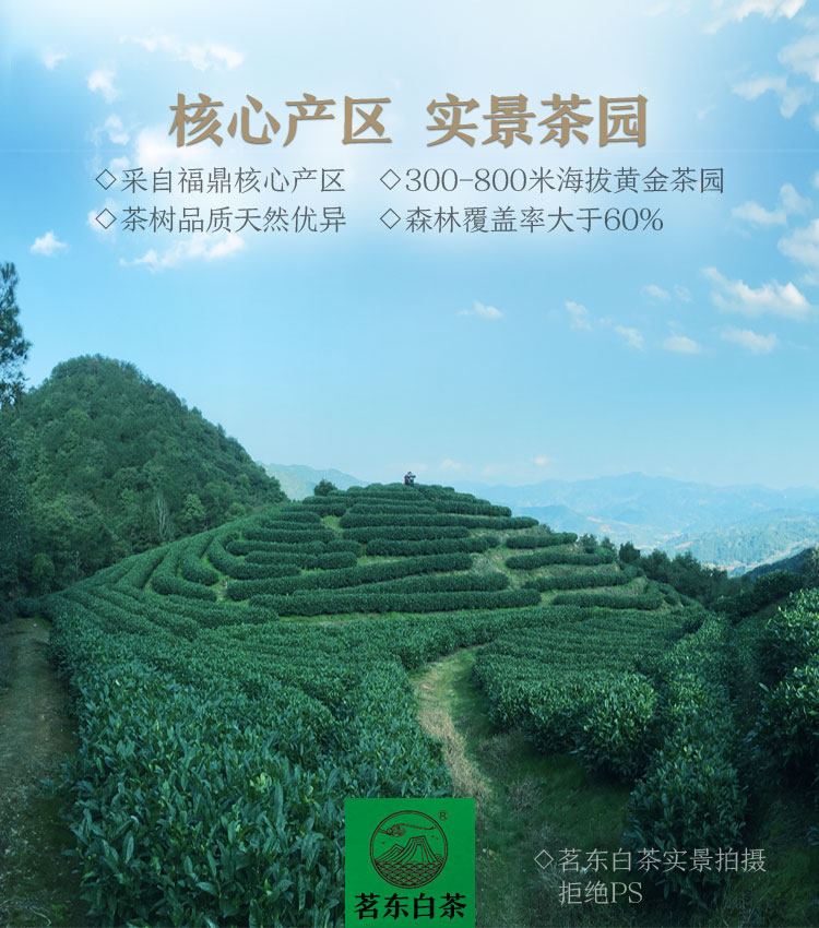 地理标志产品 茗东 福鼎白茶 老寿眉茶饼 150g 图4