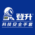 登升旗舰店 店铺LOGO