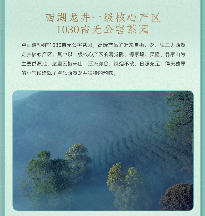 2022年新茶 卢正浩 雨前龙井茶 200g 图21