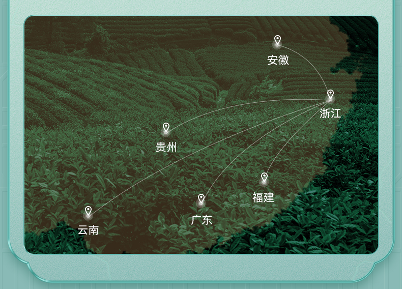 2022年新茶 卢正浩 雨前龙井茶 200g 图25