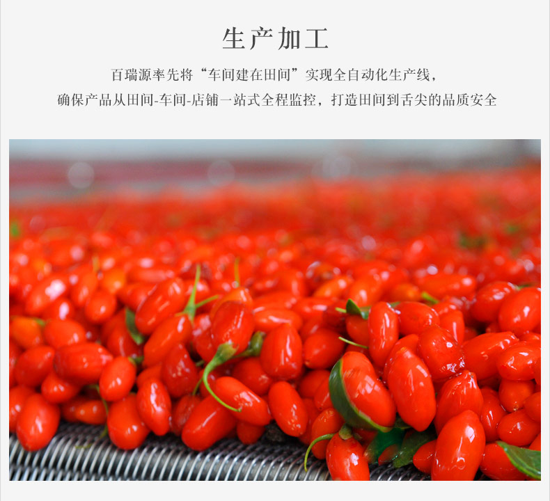 新闻联播报道 百瑞源 宁夏头茬枸杞 6g*32袋*2盒 图14