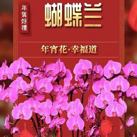 厦门仟佰卉园艺