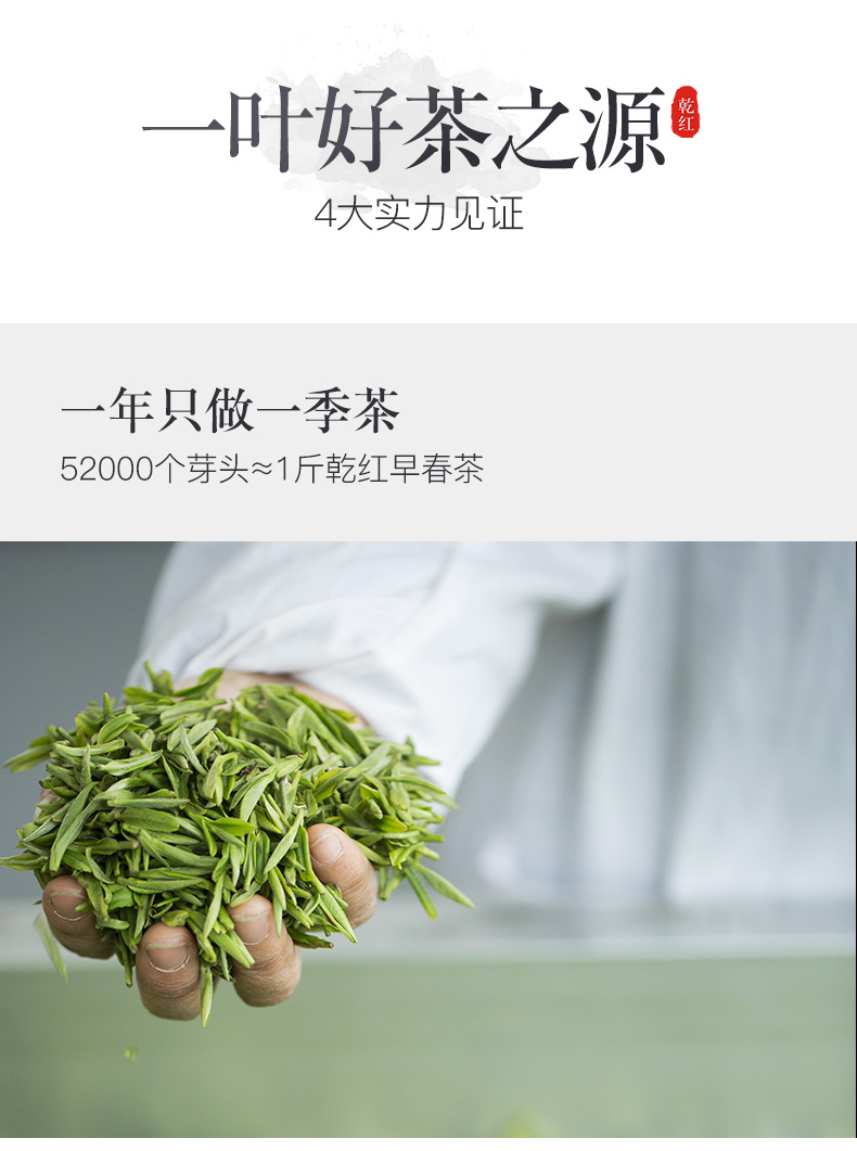 乾红早春宜兴红茶茶叶雄狮6明前高档礼盒装240g 