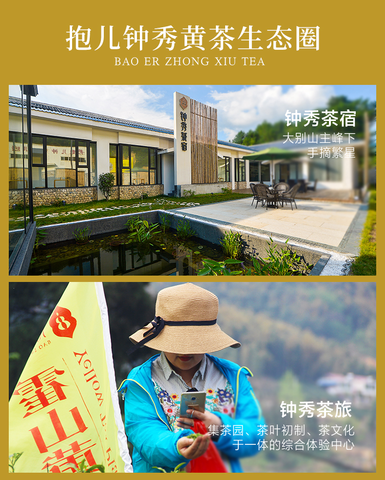 国家地理标志产品 抱儿钟秀  一级霍山黄芽 250g 图10