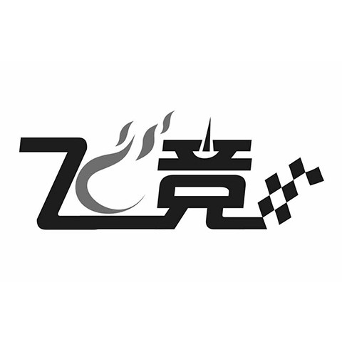 飞竞广州专卖店 店铺LOGO