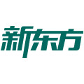新东方旗舰 店铺LOGO