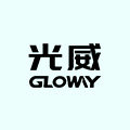 Gloway光威存储旗舰店