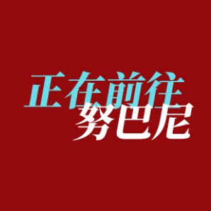 努巴尼企业店