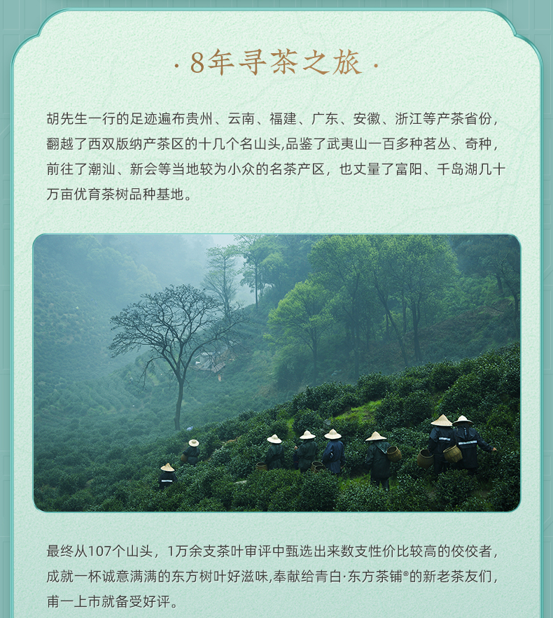 2022年新茶 卢正浩 雨前龙井茶 200g 图24