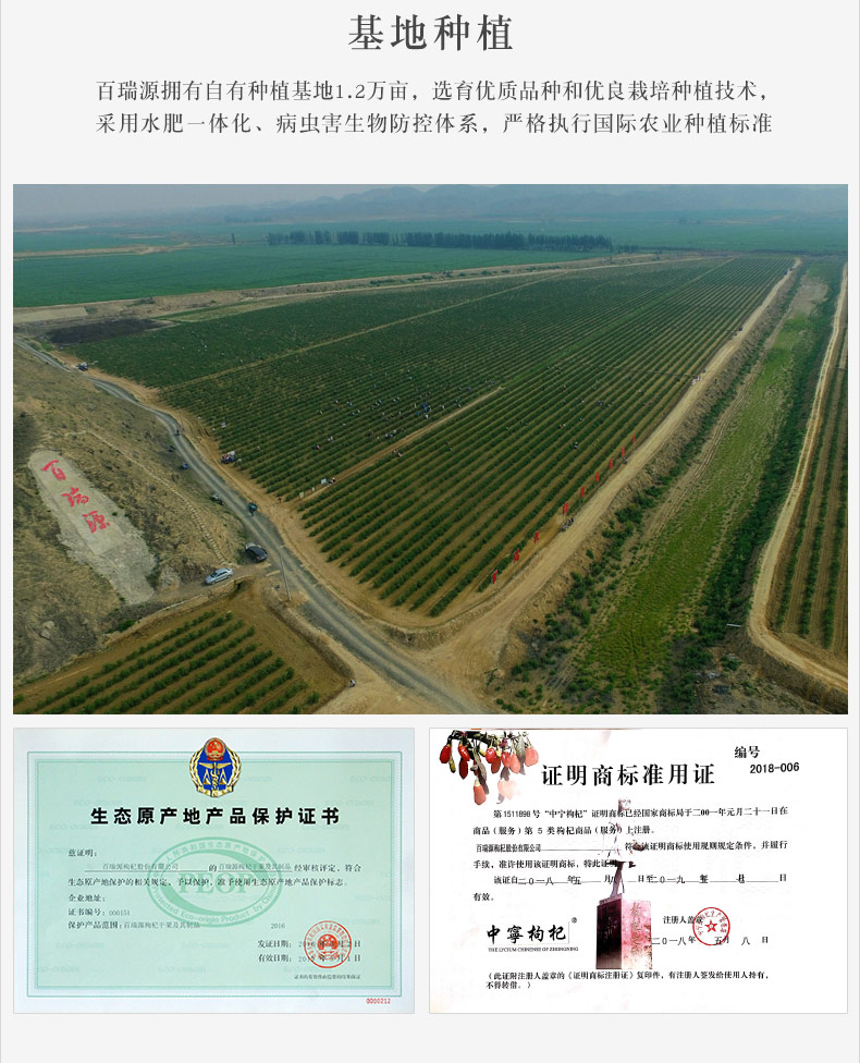 新闻联播报道 百瑞源 宁夏头茬枸杞 6g*32袋*2盒 图13