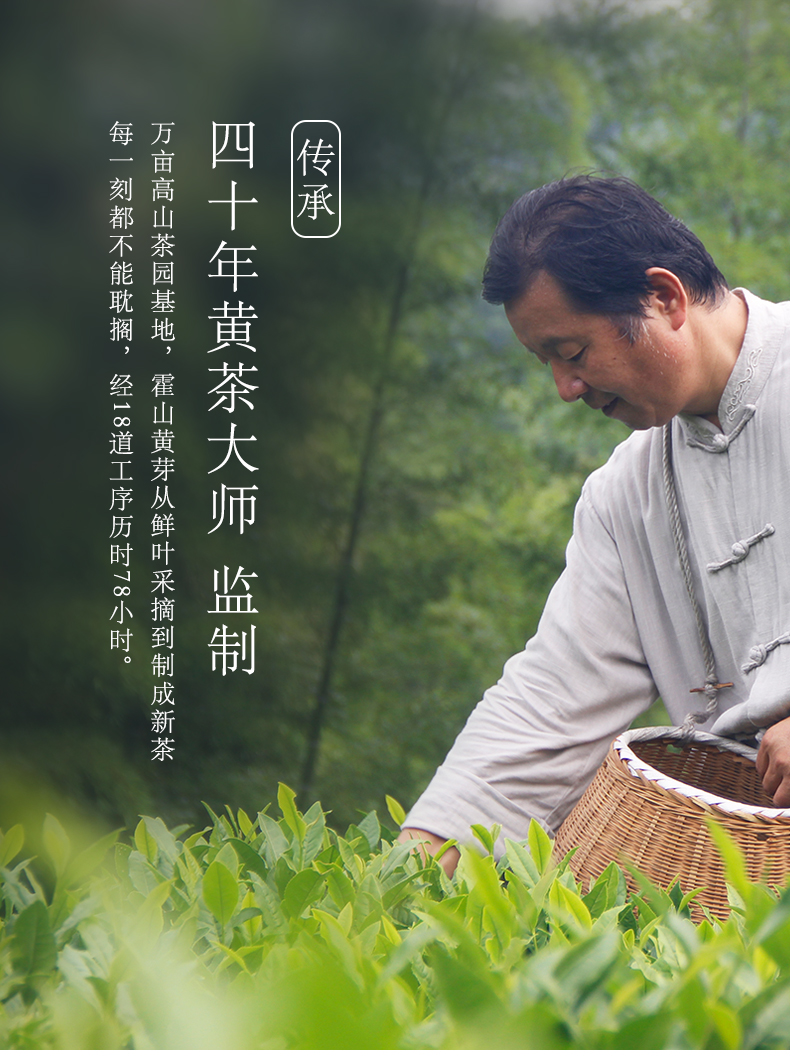 国家地理标志产品 抱儿钟秀  一级霍山黄芽 250g 图8