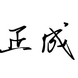 正成实业企业店