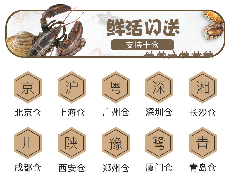阿根廷进口 新鲜活冻L1号大红虾 2kg 图14