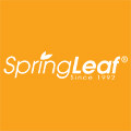 springleaf海外旗舰店