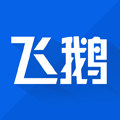 飞鹅旗舰店 店铺LOGO