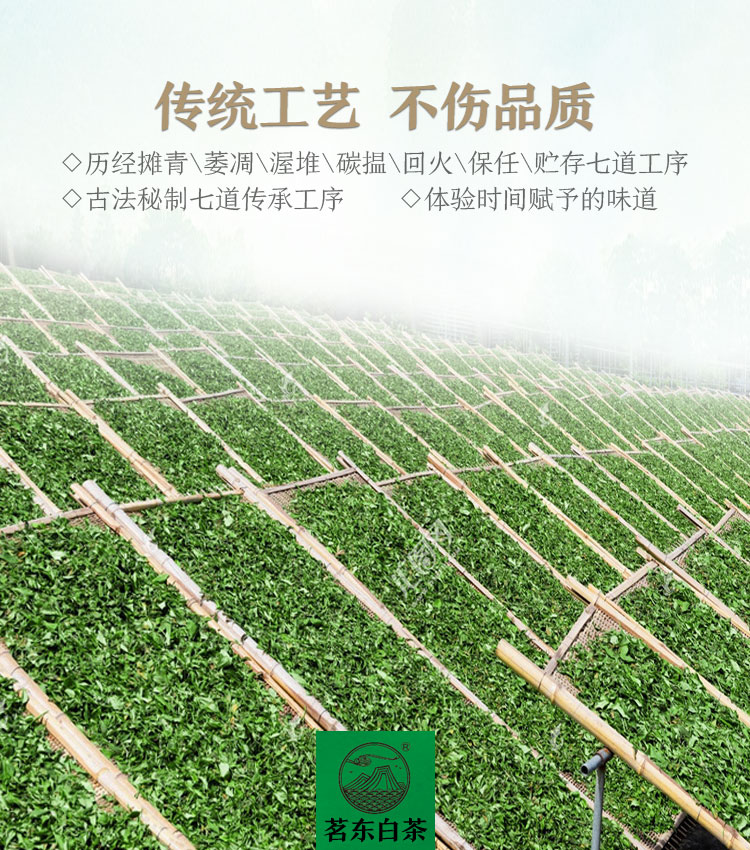 地理标志产品 茗东 福鼎白茶 老寿眉茶饼 150g 图6