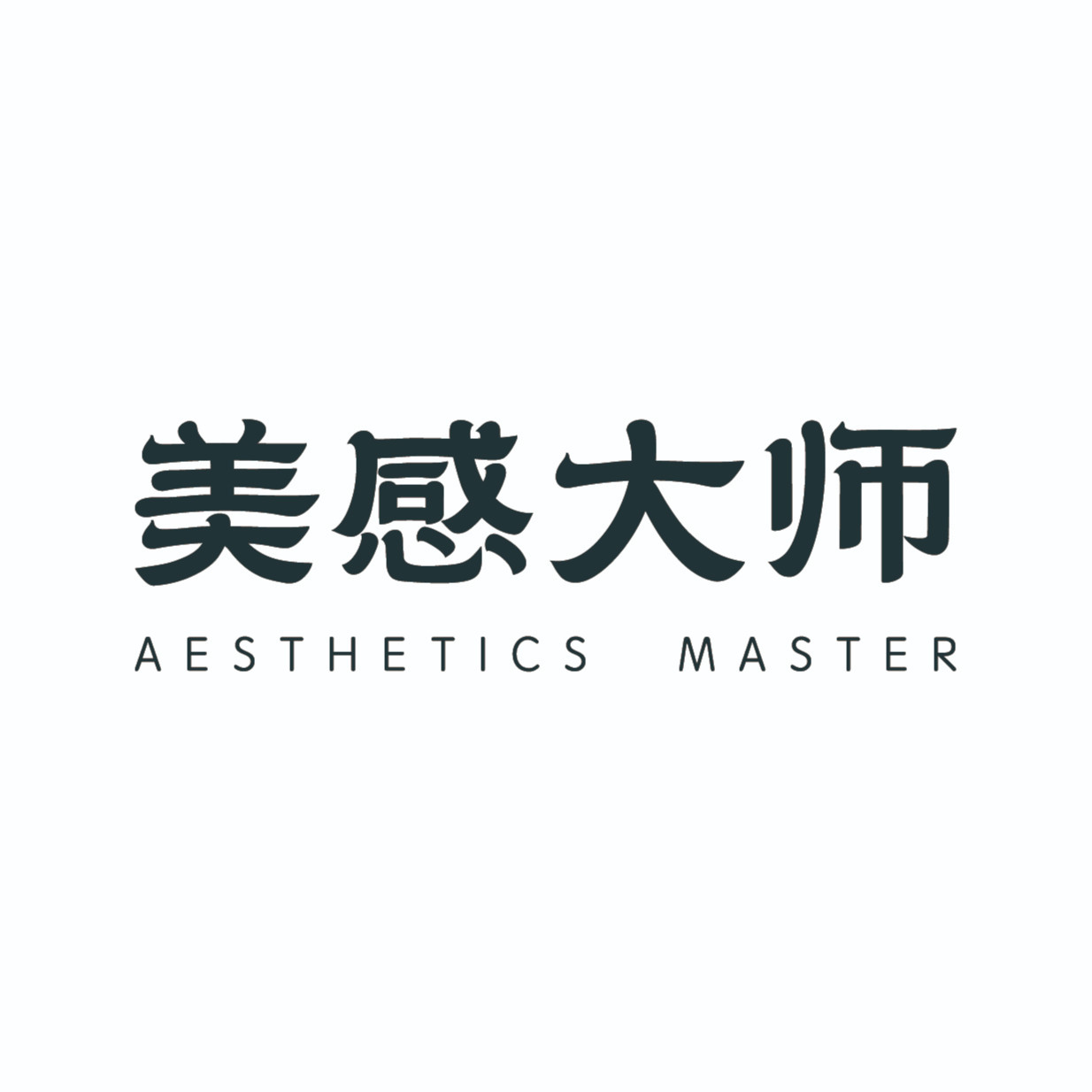 美感大师二号店 店铺LOGO