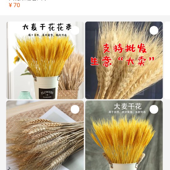 5A级麦穗干花厂家