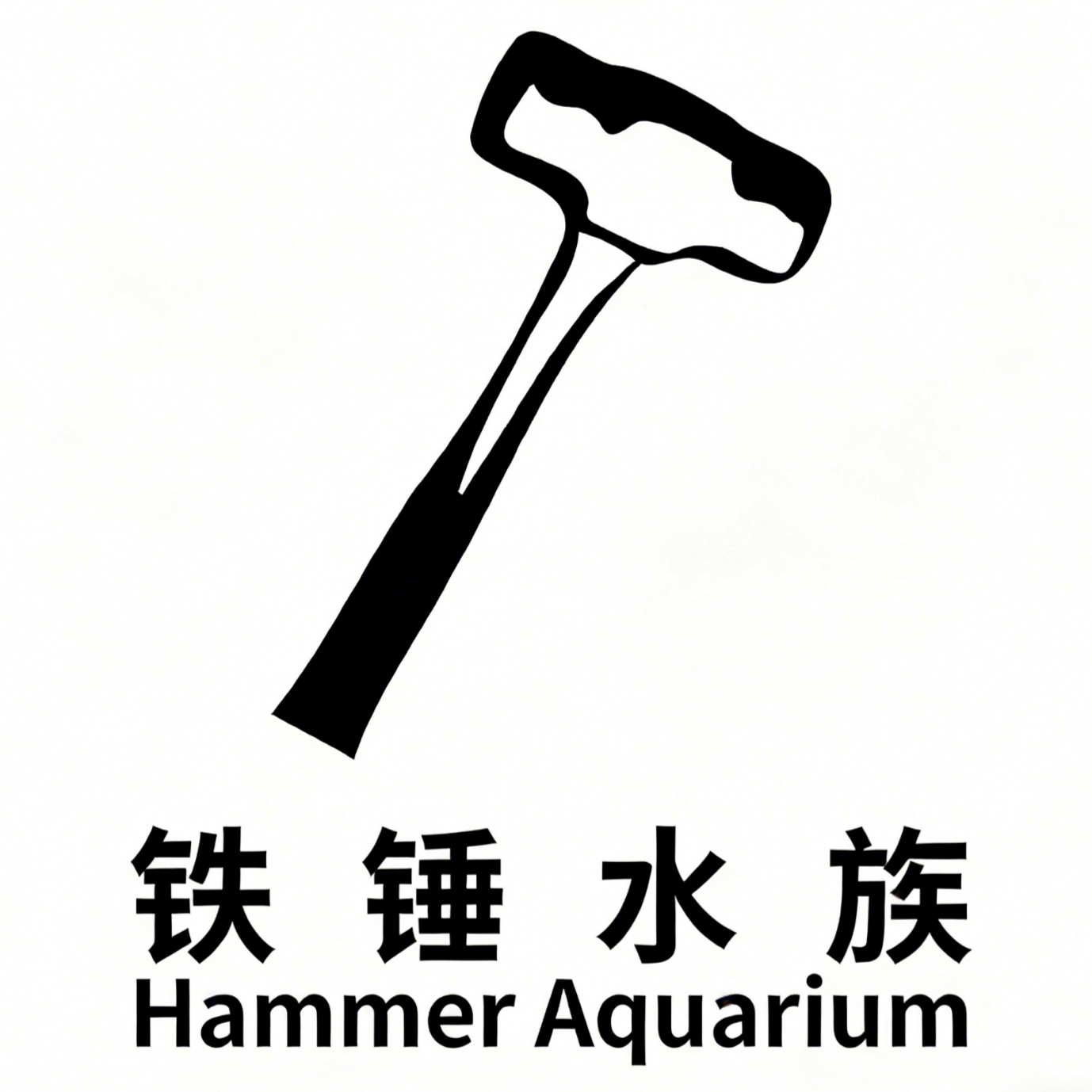 铁锤水族