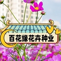 百花缘花卉种业 店铺LOGO