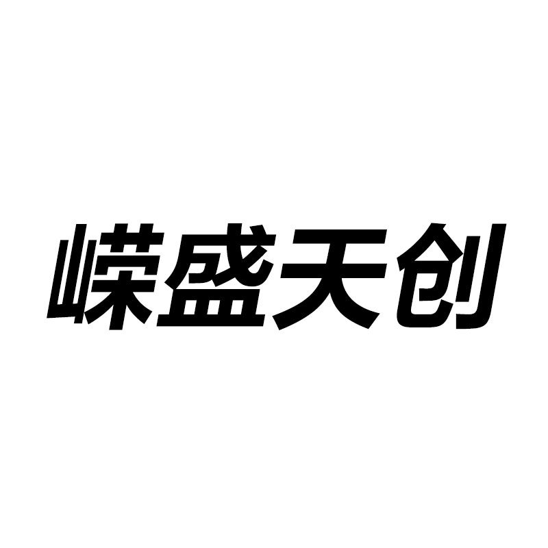 嵘盛天创企业店