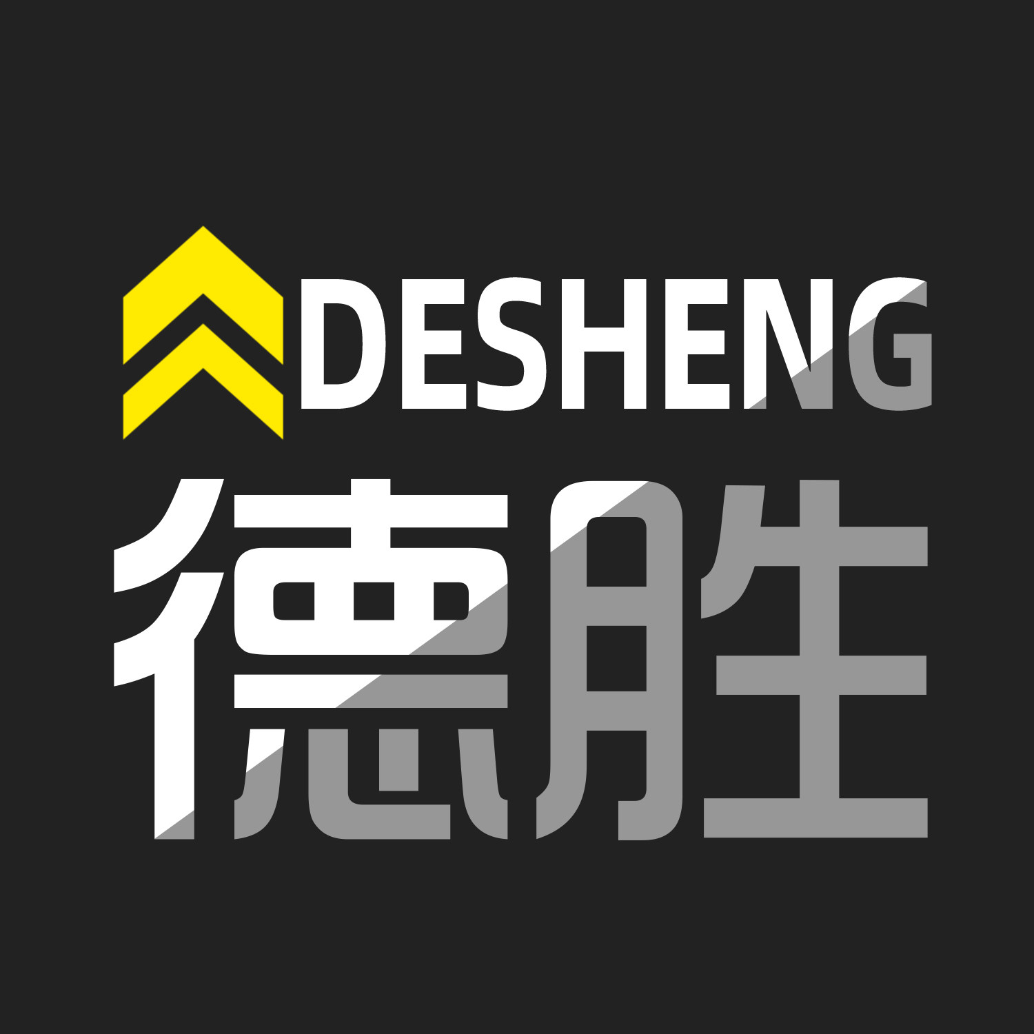深圳市德胜锁业五金