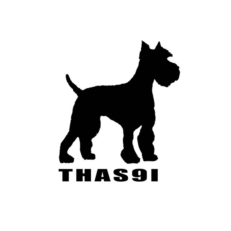 Thas9i九亿